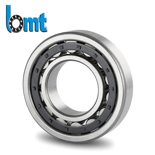 Double Row Cylindrical Roller Bearings