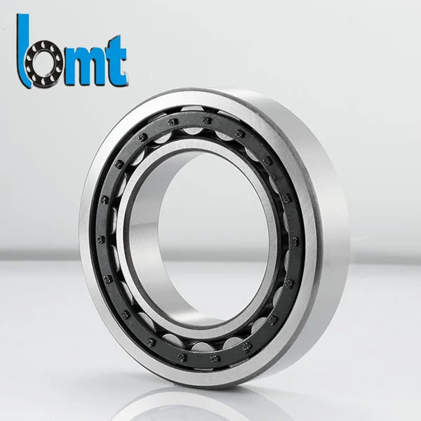 Single Row Full Complement Cylindrical Roller Bearings