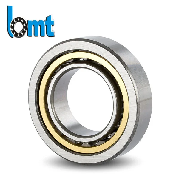 Roulements à rouleaux cylindriques à une rangée sans bague intérieure